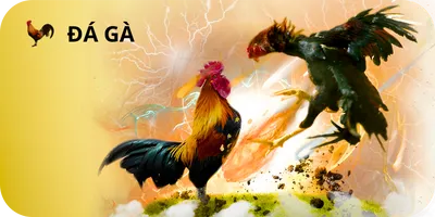 Đá gà